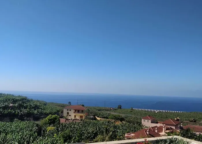 Charming In Apartment *